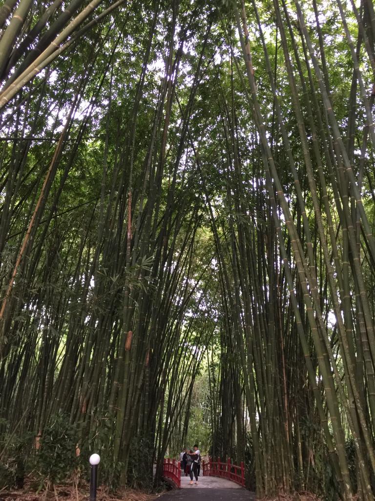 Foto 18