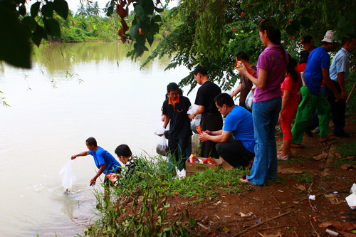 Penyelamatan Hewan 6 November 2011