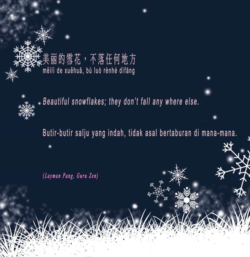 Beautiful Snowflakes