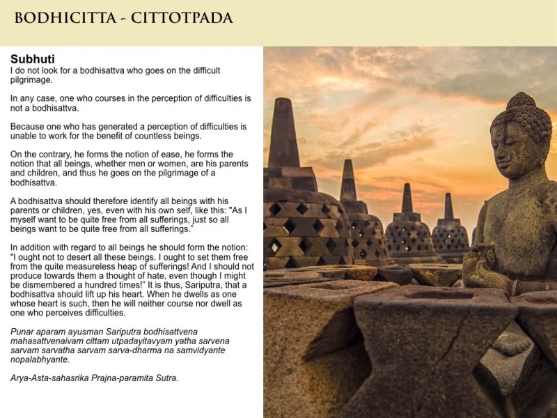 Citotpada Eng