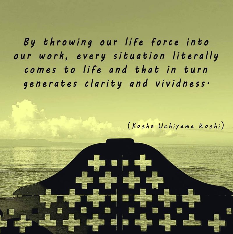 Clarity Dan Vividness