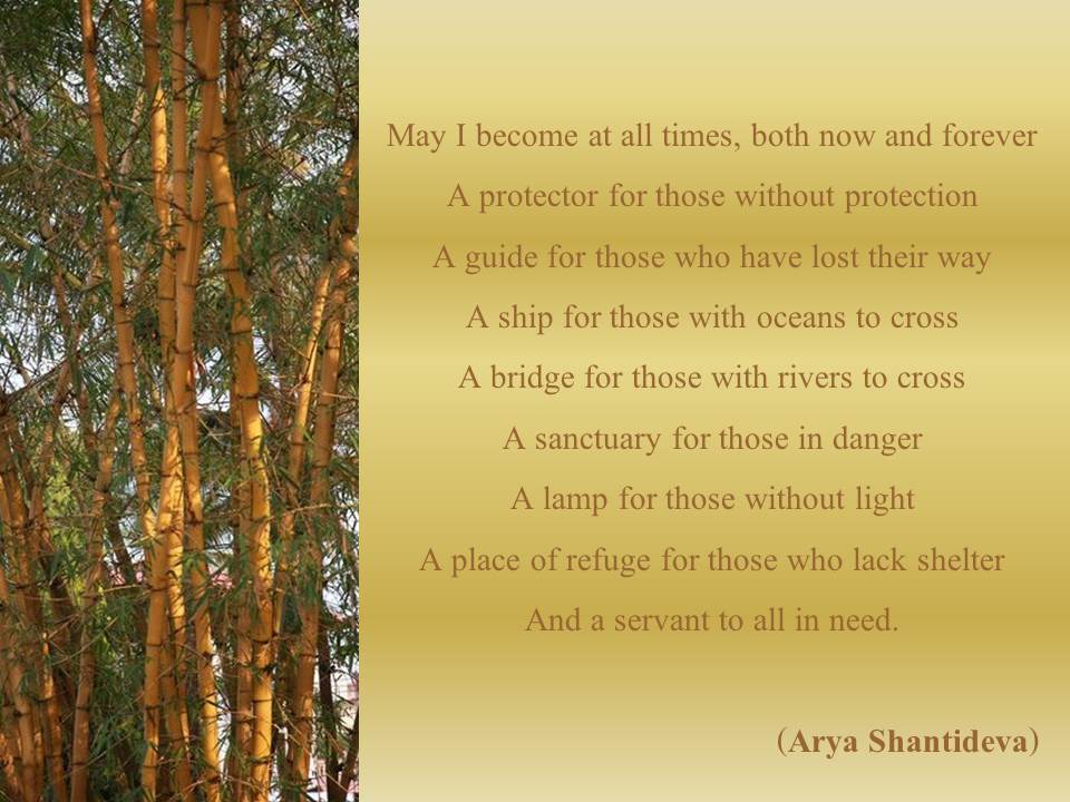 Dedication Shantideva