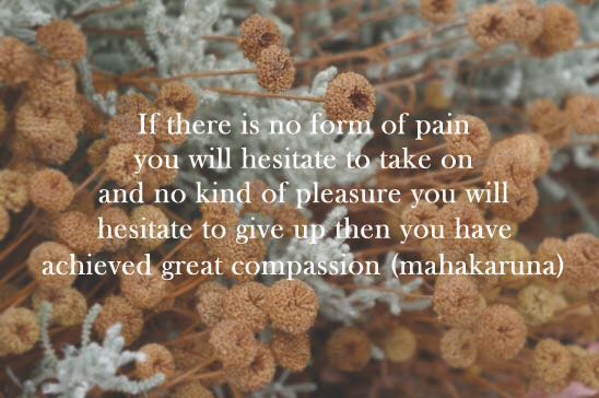 Mahakaruna Take On Give Up