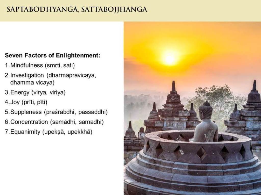 Saptabodhyanga