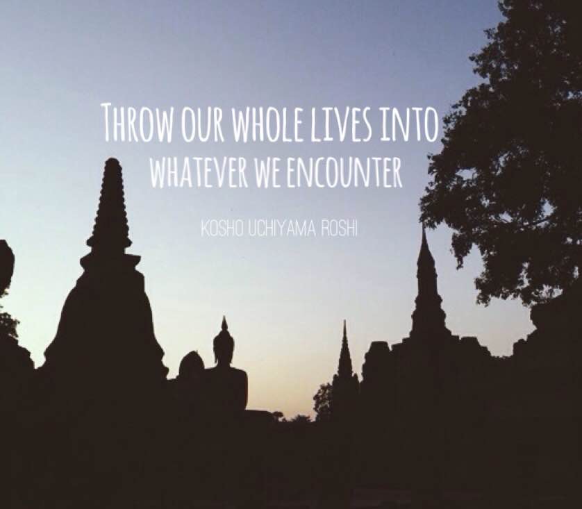 Whatever We Encounter